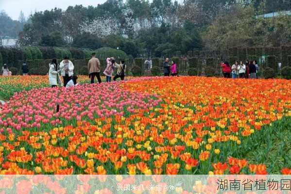 湖南省植物园