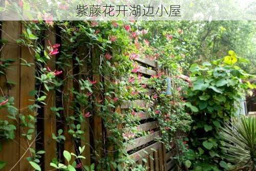 紫藤花开湖边小屋