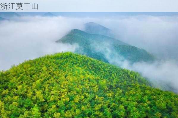 浙江莫干山