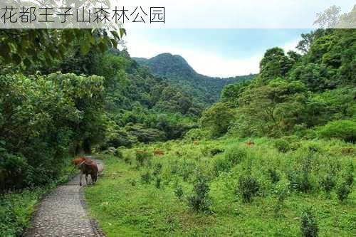 花都王子山森林公园