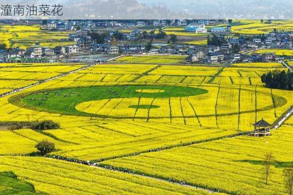 潼南油菜花