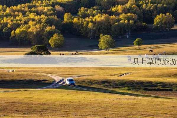 坝上草原旅游