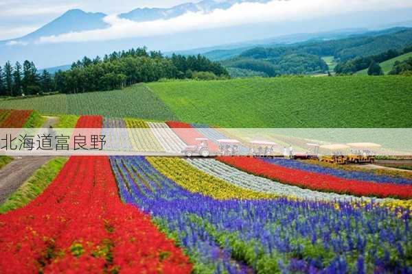 北海道富良野