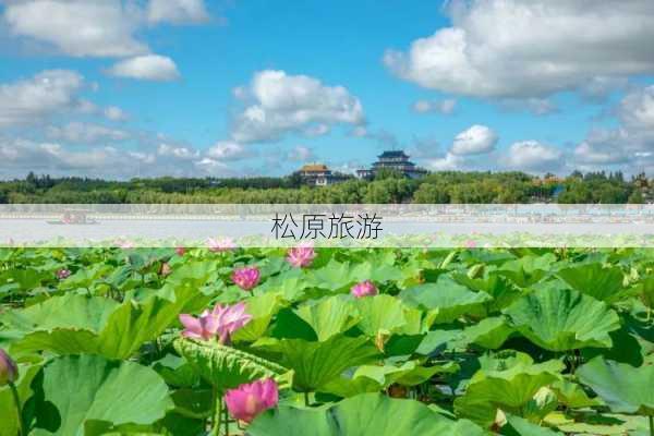 松原旅游