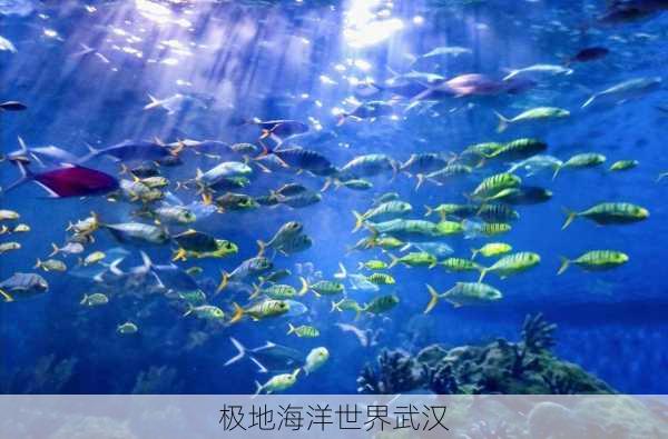 极地海洋世界武汉