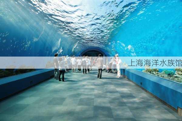 上海海洋水族馆