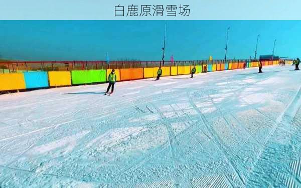 白鹿原滑雪场