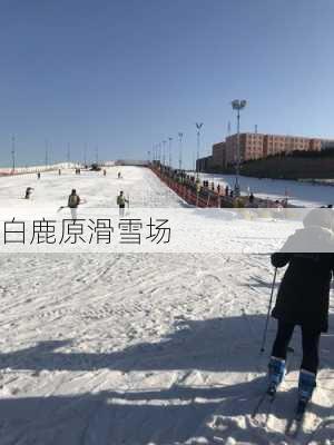 白鹿原滑雪场