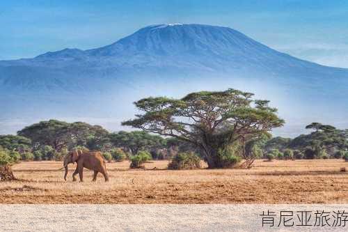 肯尼亚旅游