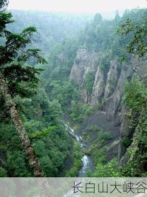 长白山大峡谷