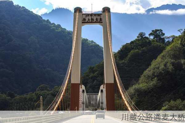 川藏公路通麦大桥