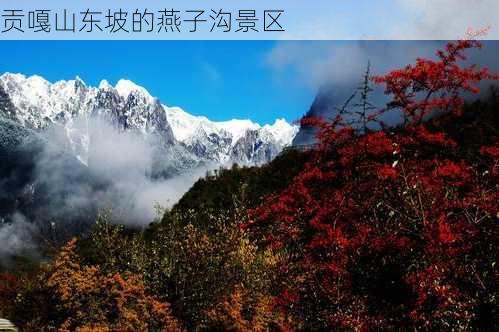 贡嘎山东坡的燕子沟景区