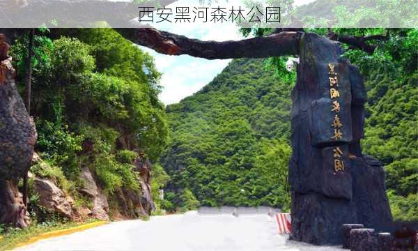 西安黑河森林公园