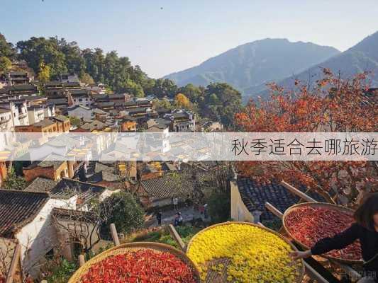 秋季适合去哪旅游