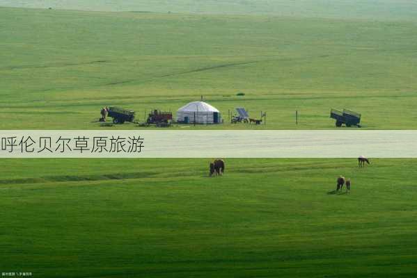 呼伦贝尔草原旅游