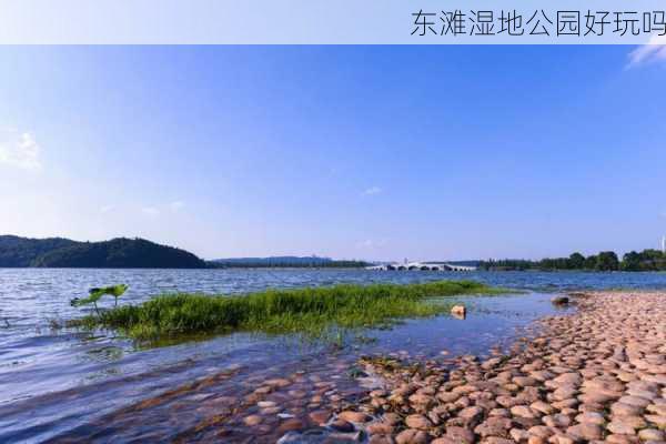 东滩湿地公园好玩吗