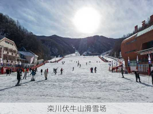 栾川伏牛山滑雪场