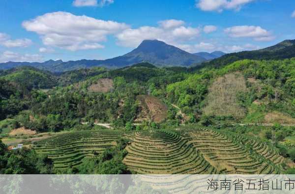 海南省五指山市