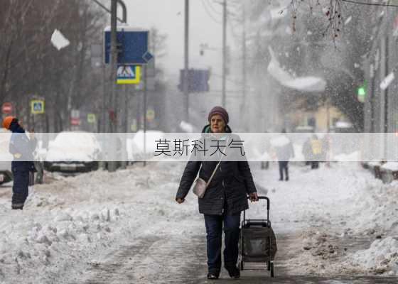 莫斯科天气