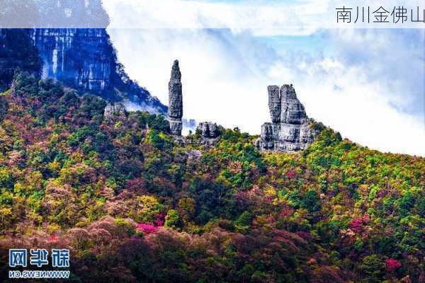 南川金佛山