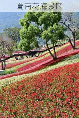 蜀南花海景区