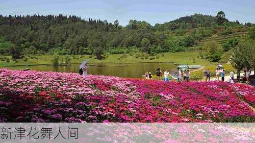 新津花舞人间