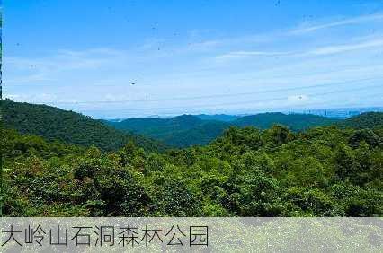 大岭山石洞森林公园