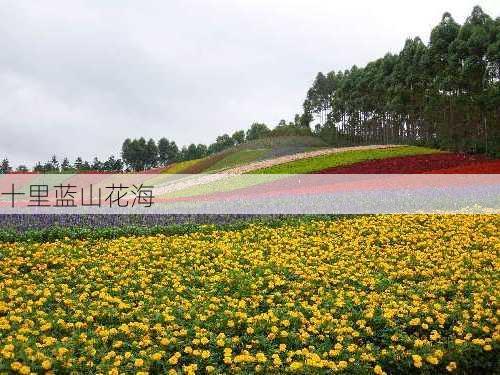 十里蓝山花海