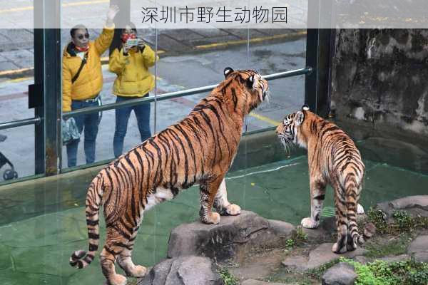 深圳市野生动物园