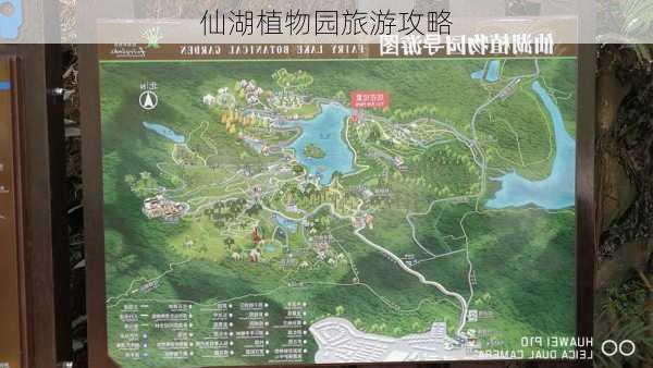 仙湖植物园旅游攻略