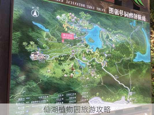 仙湖植物园旅游攻略