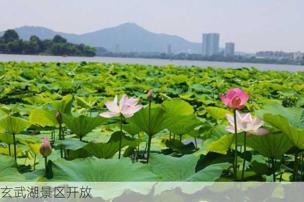 玄武湖景区开放