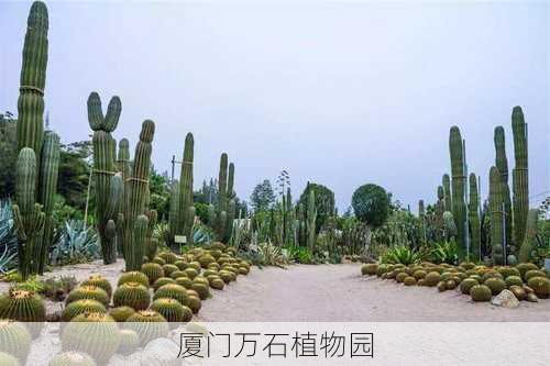 厦门万石植物园