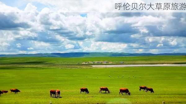 呼伦贝尔大草原旅游