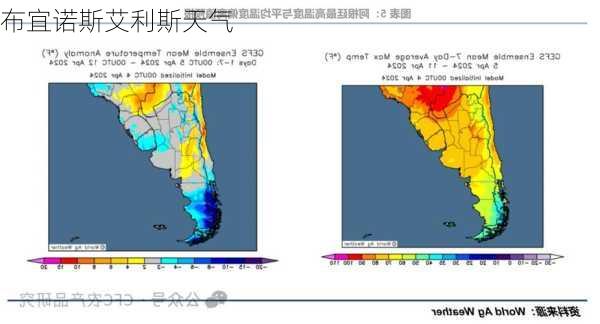 布宜诺斯艾利斯天气