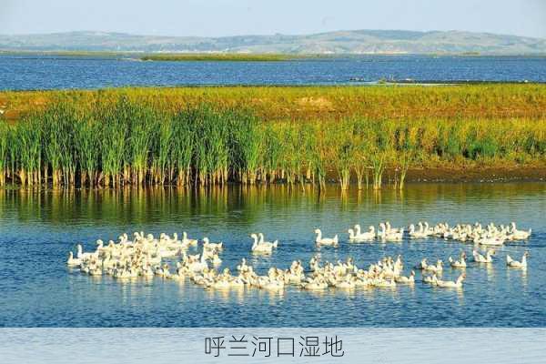 呼兰河口湿地