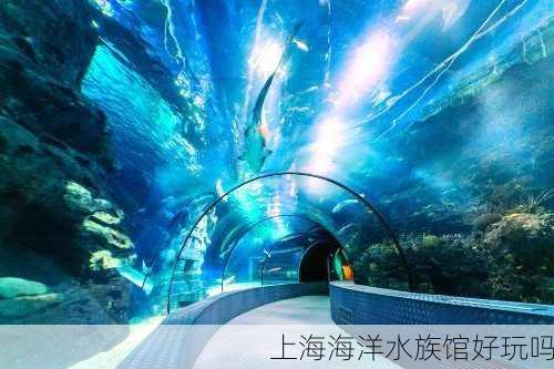 上海海洋水族馆好玩吗