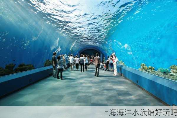 上海海洋水族馆好玩吗