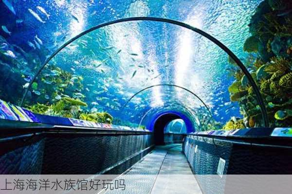 上海海洋水族馆好玩吗