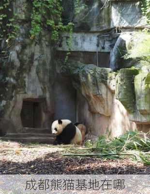 成都熊猫基地在哪