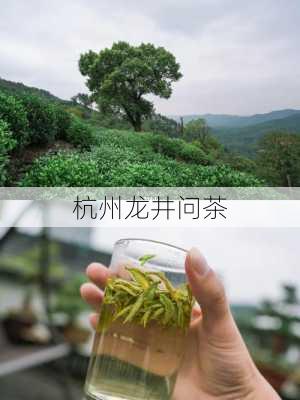 杭州龙井问茶