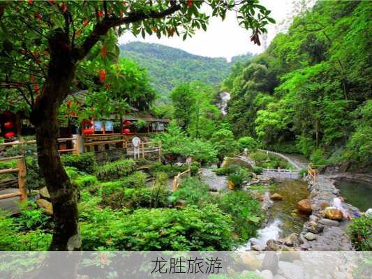 龙胜旅游