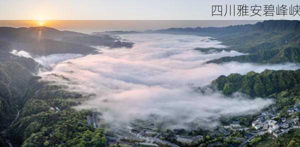 四川雅安碧峰峡