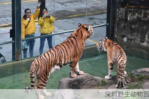 深圳野生动物园