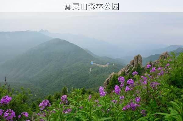 雾灵山森林公园