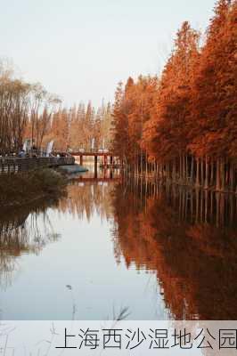 上海西沙湿地公园