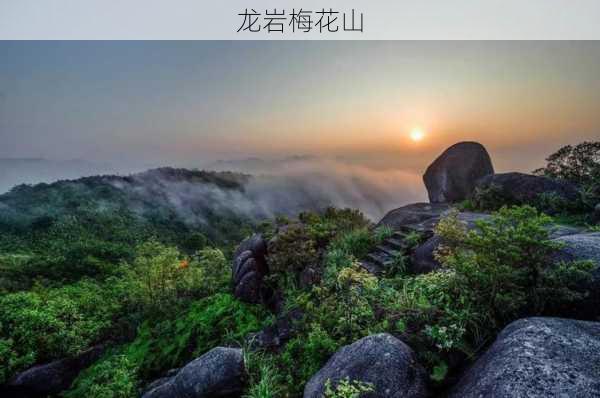 龙岩梅花山