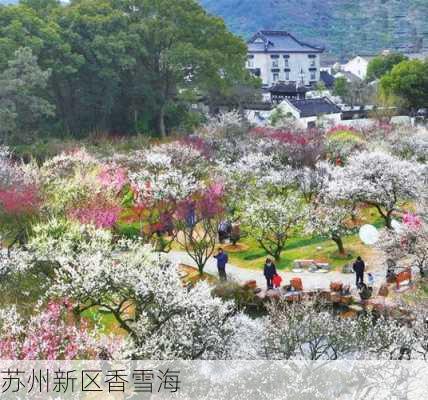 苏州新区香雪海