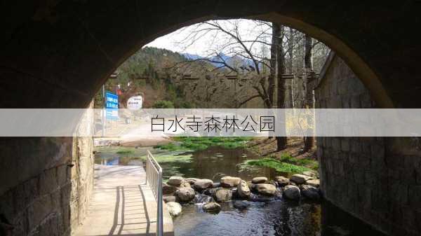 白水寺森林公园