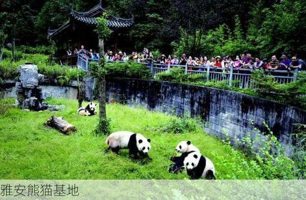 雅安熊猫基地